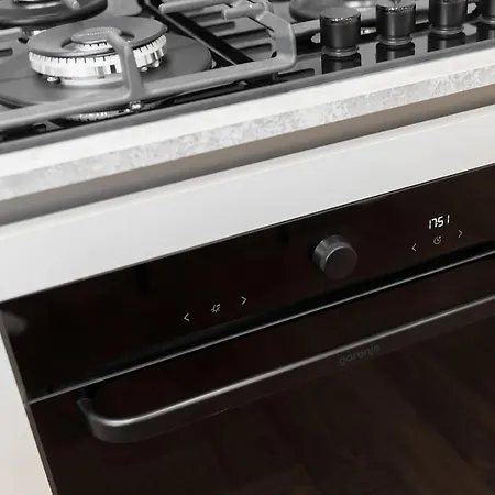 Appartamento Historical Center Zalgiris Arena *