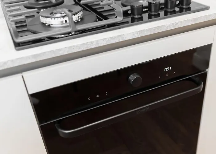 Апартаменты Historical Center Zalgiris Arena *